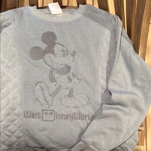 Disney World Gray Sweater for Men